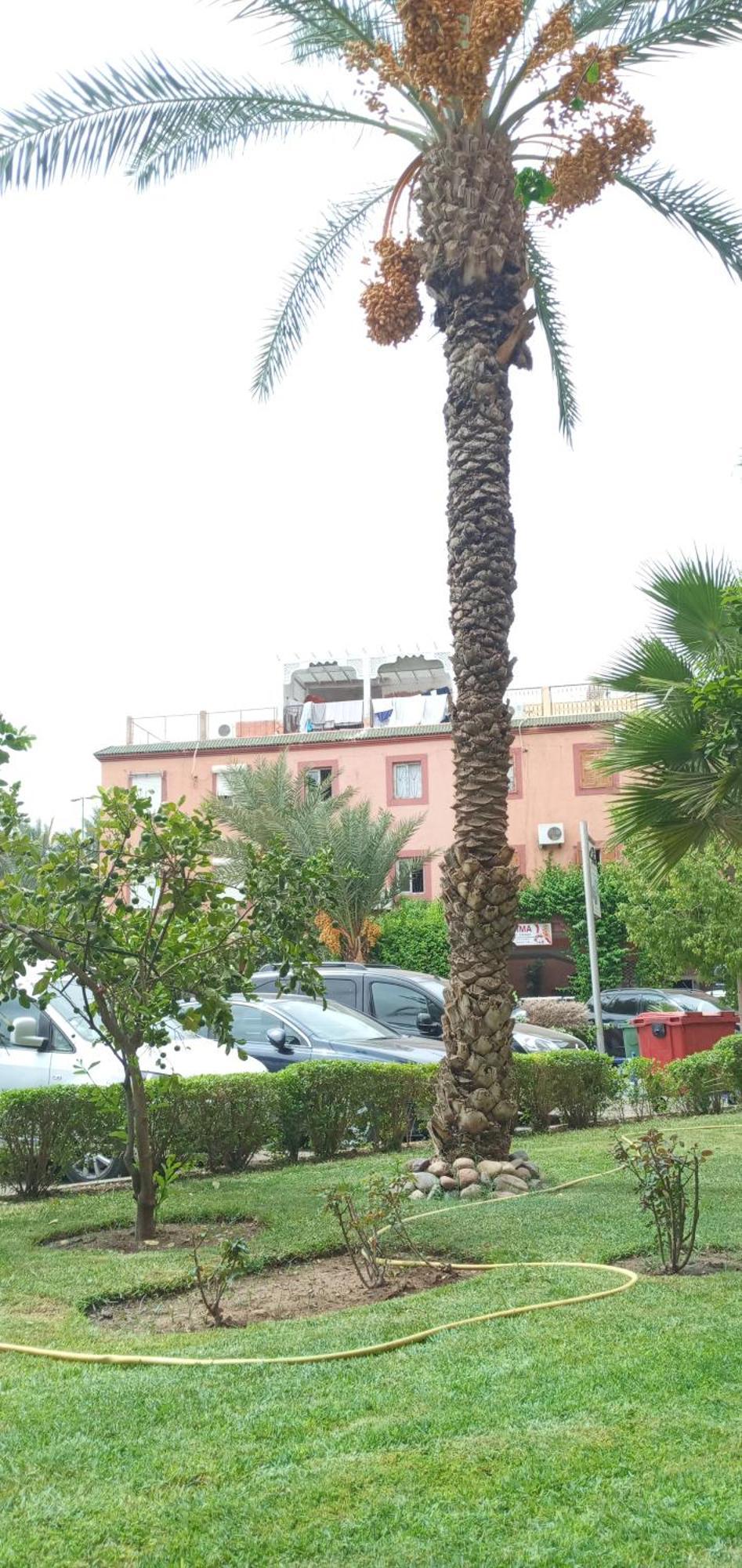 Red Moon Kech 2Km Du Centre-Ville Marrakesh Exterior foto